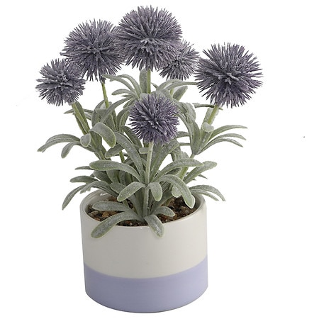 Festive Voice Purple Ceramic Greenery - 1.0 EA