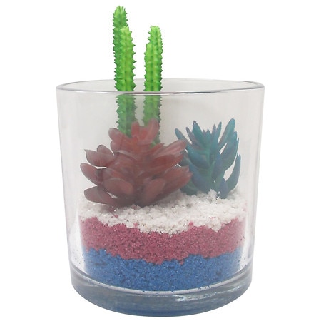 Festive Voice Succulent in Layered Sand - 1.0 ea