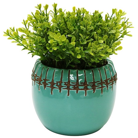 Festive Voice Teal rope ceramic succulent - 1.0 EA