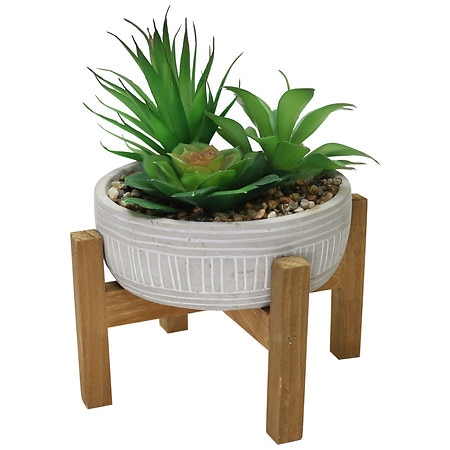 Festive Voice Wood Stand Succulent - 1.0 EA