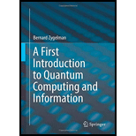First Introduction to Quantum Computing and Information