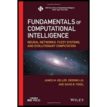 Fundamentals of Computational Intelligence (Hardback)