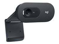 Lenovo Logitech C505e - web camera