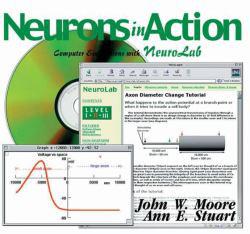 Neurons in Action : Computer Simulations With Neurolab - With CD