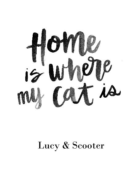 Non-Photo 11x14 Poster, Home Décor -Home Cat