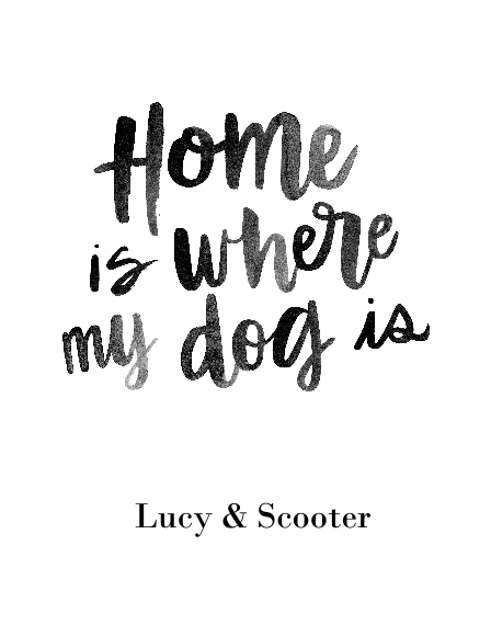 Non-Photo 11x14 Poster, Home Décor -Home Dog