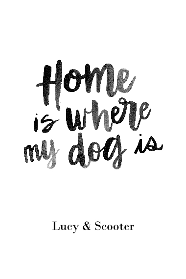 Non-Photo 24x36 Poster , Home Décor -Home Dog