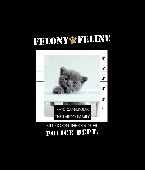 Pet Framed Canvas Print, Chocolate, 8x10, Home Décor -Felony Feline