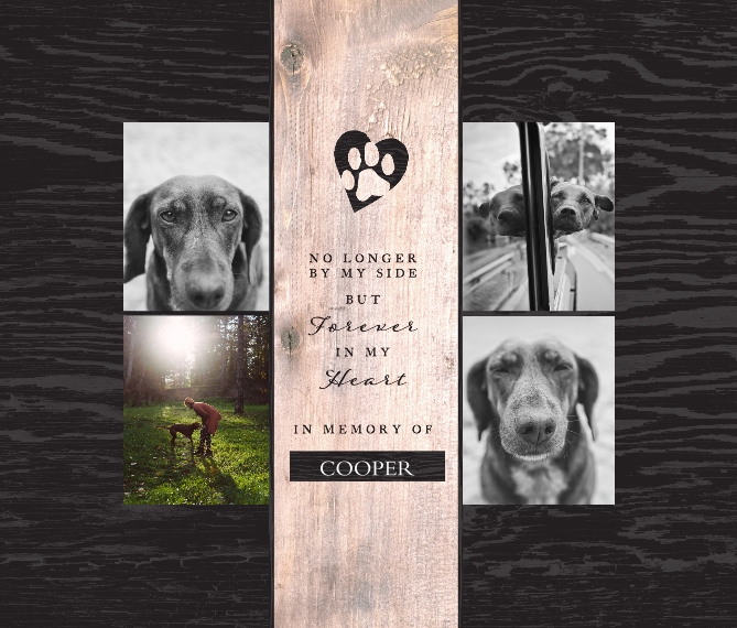 Pet Framed Canvas Print, Chocolate, 8x10, Home Décor -The Good Pet