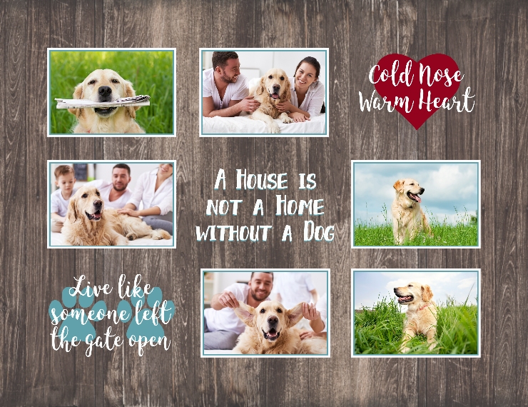 Pets Fleece Baby Blanket, 30x40, Gifts -Dog Quotes