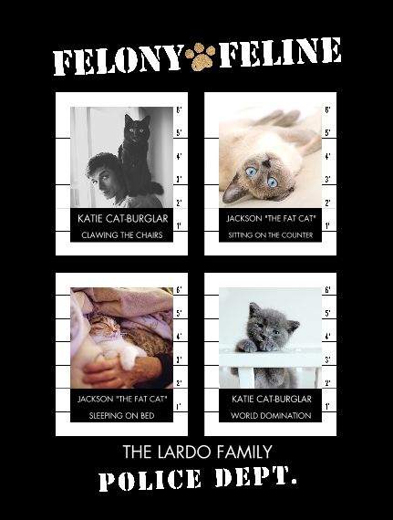 Pets Plush Fleece Photo Blanket, 60x80, Gifts -Felony Feline