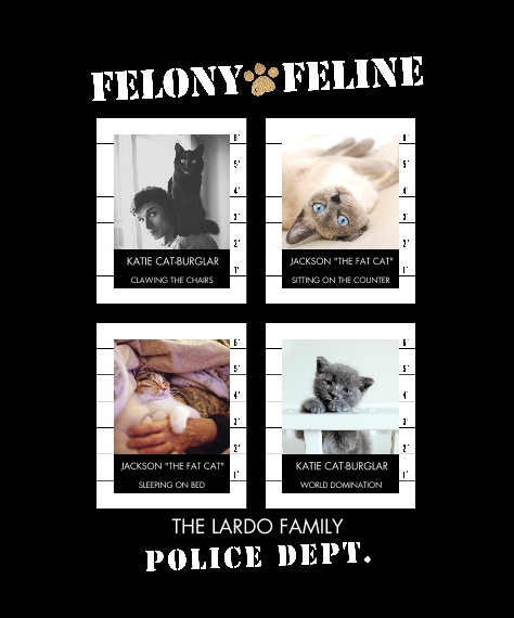 Pets Sherpa Blanket, 50x60, Gifts -Felony Feline