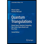 Quantum Triangulations: Moduli Space, Quantum Computing, Non-Linear Sigma Models and Ricci Flow