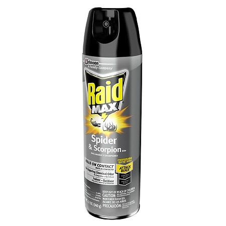 Raid Spider & Scorpion Killer - 12.0 oz