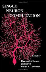 Single Neuron Computation