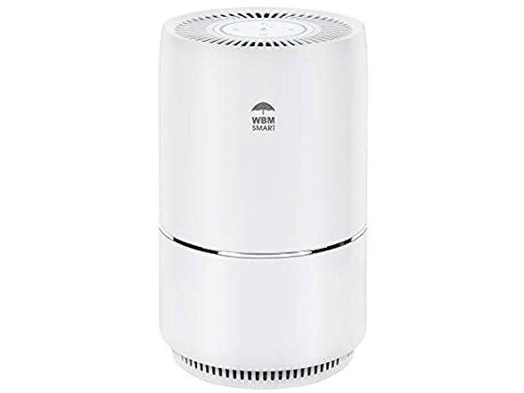 WBM Smart HEPA Filter Air Purifier